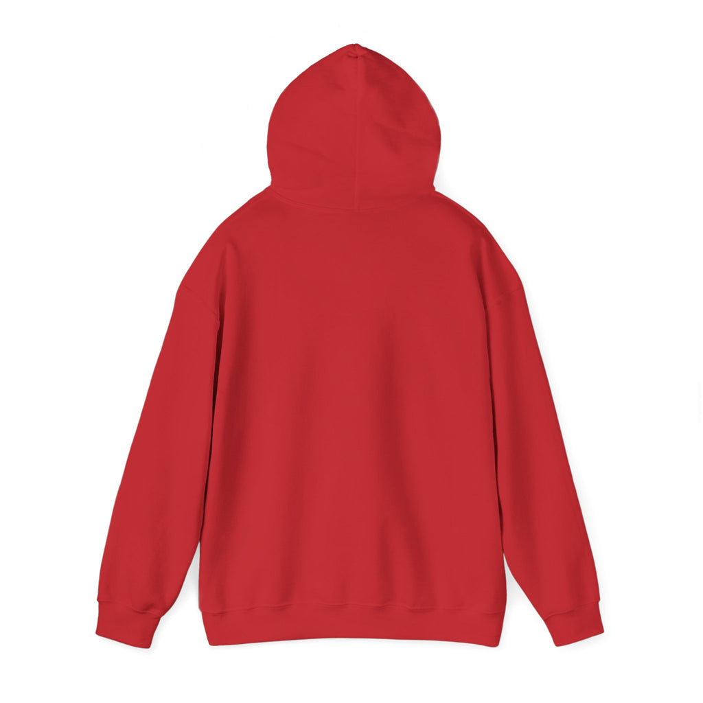 Niyyawear Hoodie – Modest Islamic Streetwear